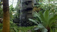 Waterfall at Buffalo Botanical Gardens